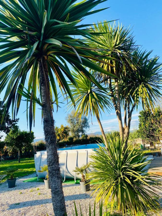 مبيت وإفطار Crespos Quinta De Areias المظهر الخارجي الصورة