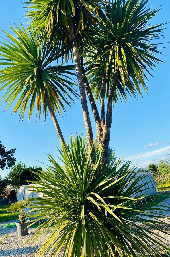 مبيت وإفطار Crespos Quinta De Areias المظهر الخارجي الصورة