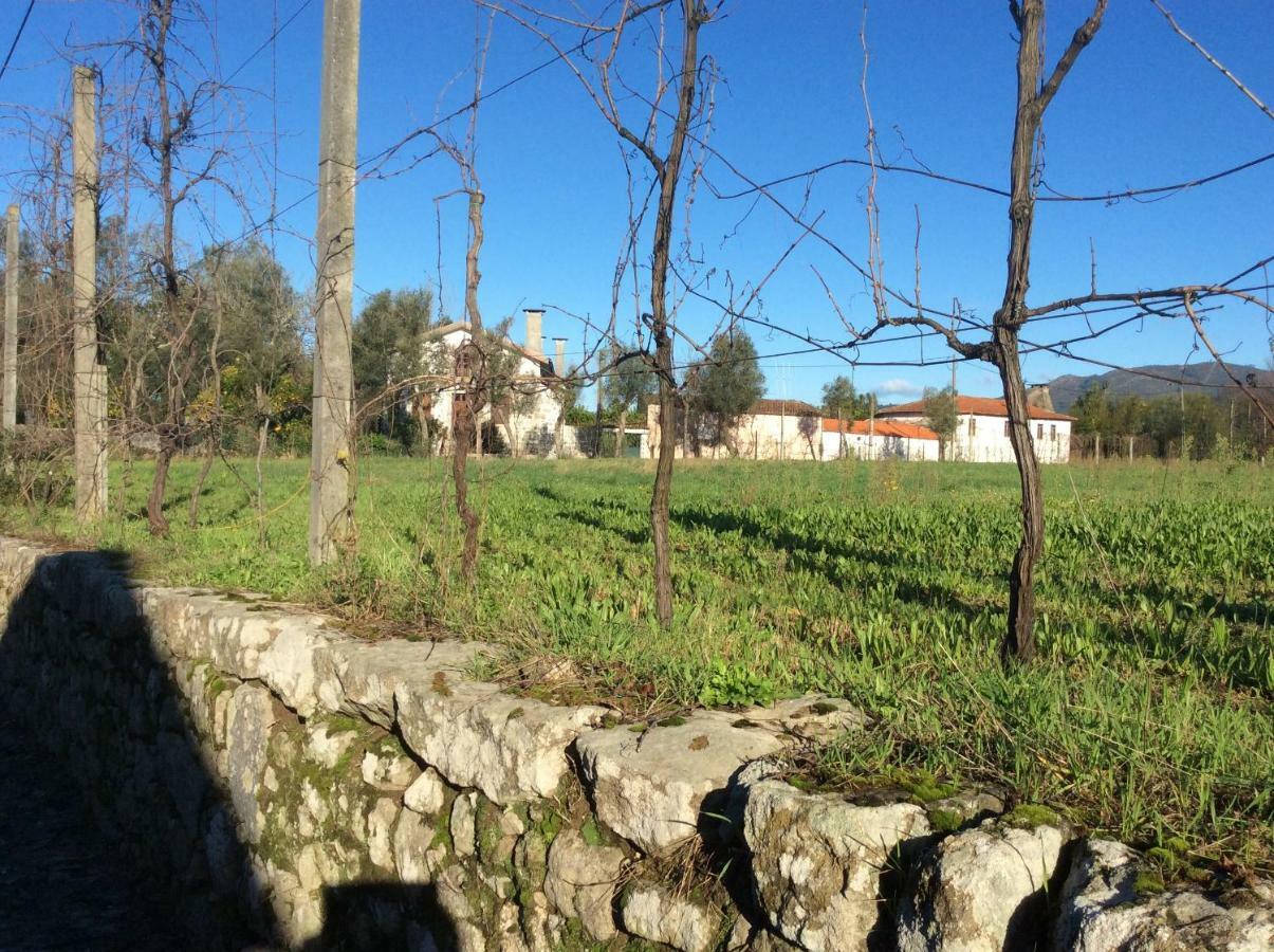 مبيت وإفطار Crespos Quinta De Areias المظهر الخارجي الصورة