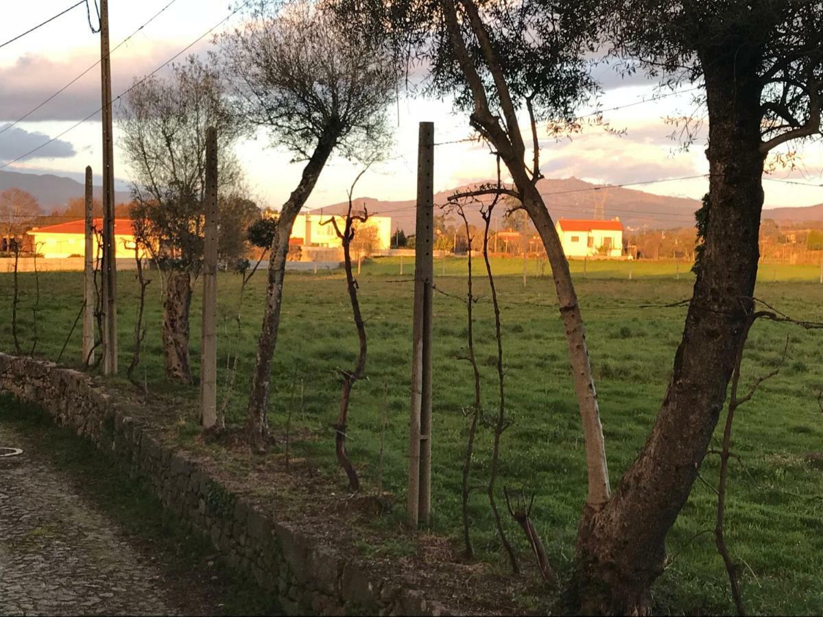 مبيت وإفطار Crespos Quinta De Areias المظهر الخارجي الصورة